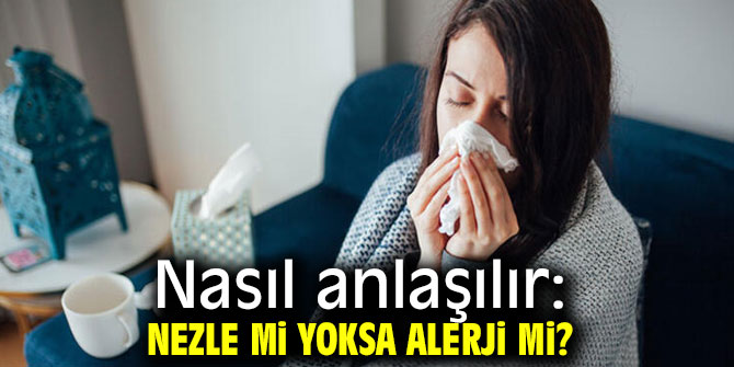 Nezle ve alerji belirtilerini ayırt edin!
