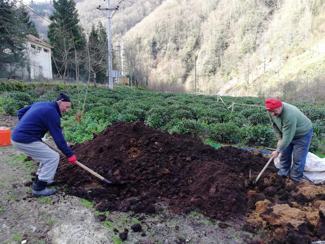 “Çay fabrikalarının çay atıkları, toprağın gıdasıdır.”