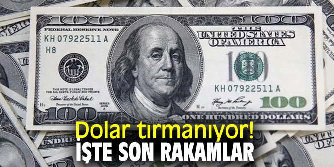 Dolar tırmanıyor!