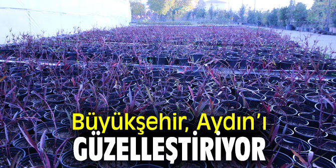 Büyükşehir, Aydın’ı güzelleştiriyor