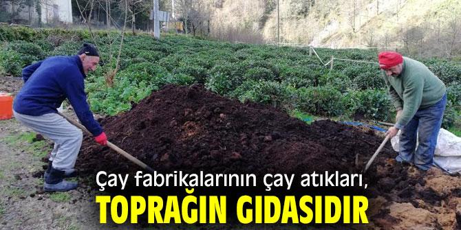 TEMA: "Çay fabrikalarının atıkları, toprağın gıdasıdır!"