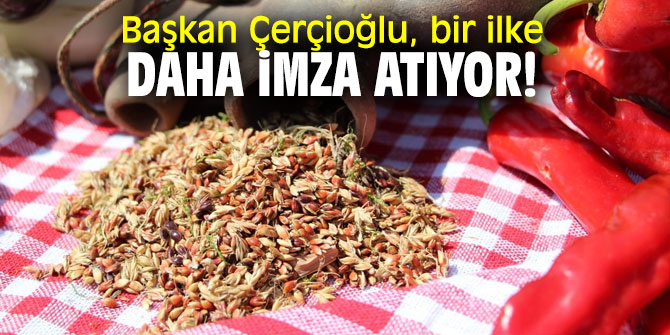 Aydın Büyükşehir'den Tıbbi Ve Aromatik Bitki Arşivi