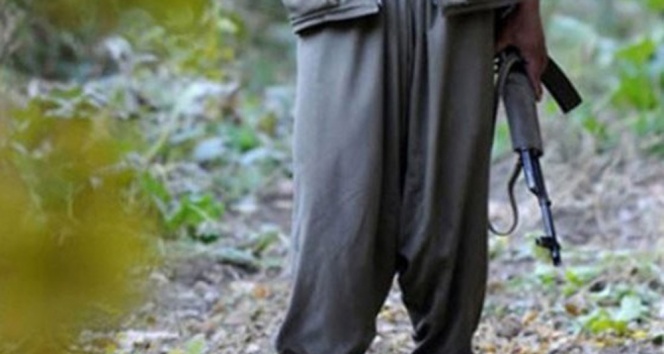 O ilde PKK'lı terörist yakalandı!