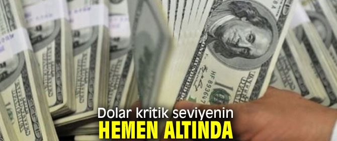 Dolar kritik seviyede!