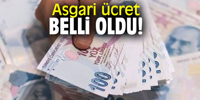 Ve Asgari ücret belli oldu!