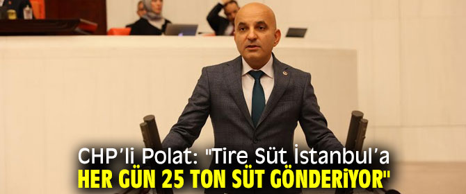 CHP’li Polat: "İzmir Modeli incelenmeli"