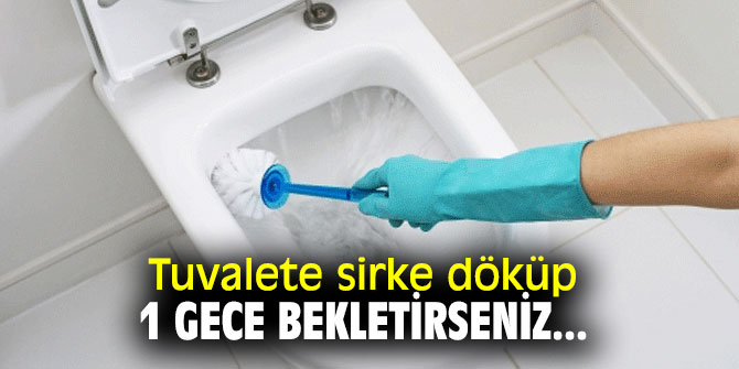 Beyaz sirkeyi tuvalete döküp 1 gece bekletirseniz...