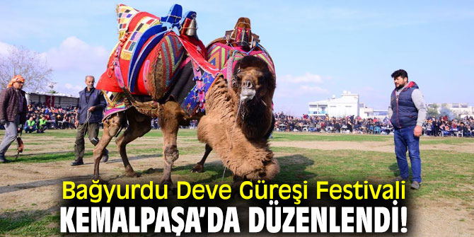 “Bağyurdu Deve Güreşi” festivali Kemalpaşa’da düzenlendi!