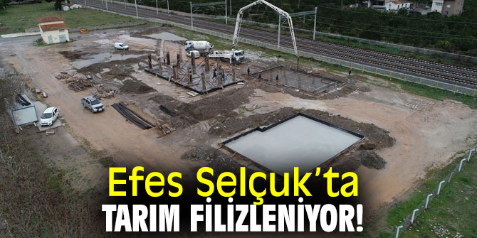 Efes Selçuk Belediyesi'nden tarım hamlesi