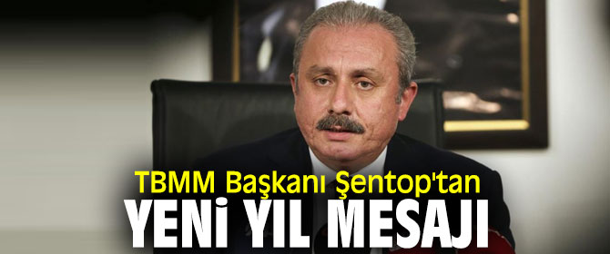 Meclis Başkanı Şentop yeni yıl mesajı yayımladı!