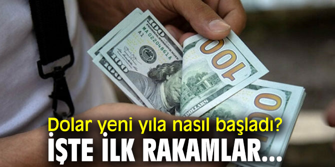 Dolar yeni yıla nasıl başladı? İşte ilk rakamlar...