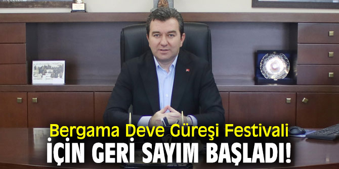 Bergama Deve Güreşi Festivali için geri sayım başladı!