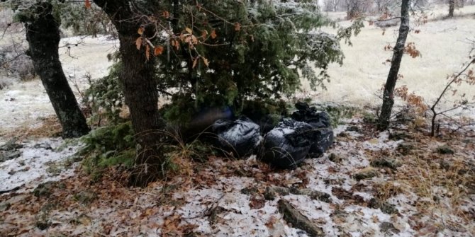 Terörün finans kaynağına büyük darbe!