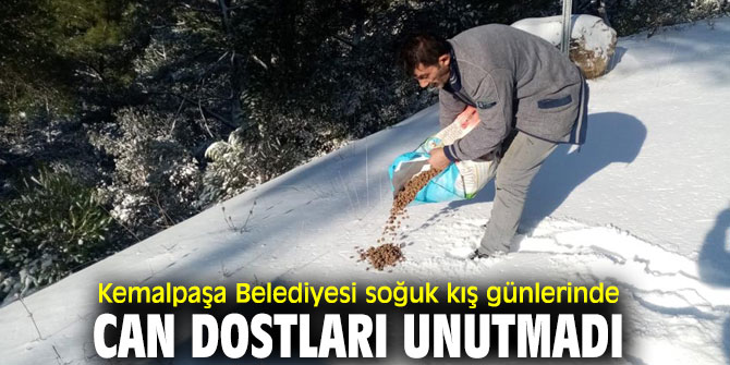 Kemalpaşa Belediyesi'nden can dost hamlesi!