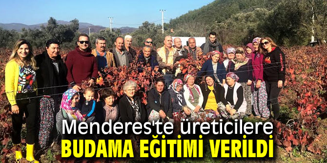 Menderes'te üreticilere budama eğitimi verildi 