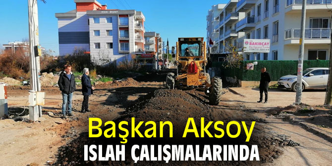 Başkan Aksoy ıslah çalışmalarında