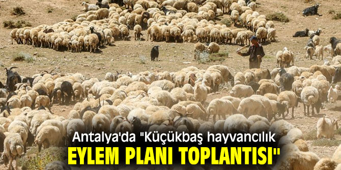 Antalya'da "Küçükbaş hayvancılık eylem planı toplantısı" 