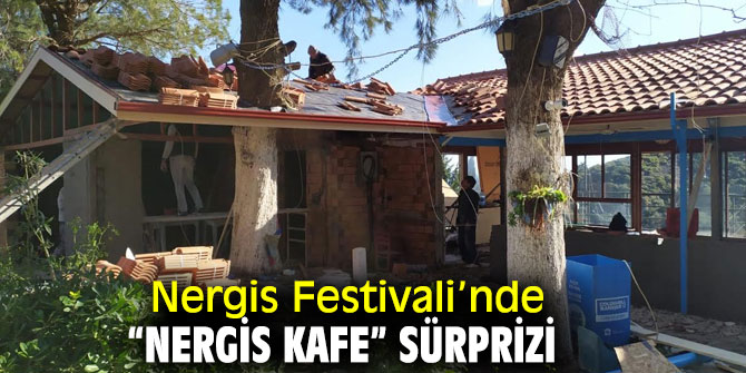 Nergis Festivali, Karaburun'da düzenlenecek!