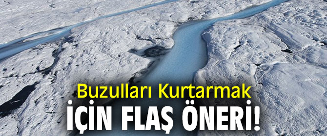 Buzulları Kurtarmak İçin flaş öneri!