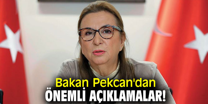 Bakan Pekcan'dan önemli açıklamalar!