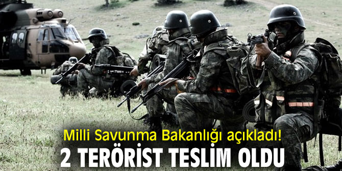 Milli Savunma Bakanlığı açıkladı! 2 terörist teslim oldu