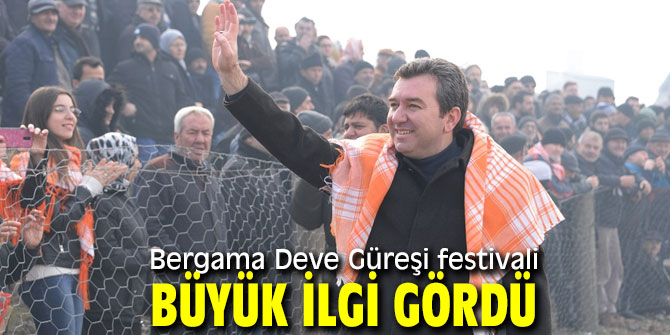 Bergama Deve Güreşi festivali'ne büyük ilgi!