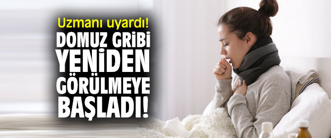 Uzmanı uyardı! Domuz gribi yeniden görülmeye başladı!