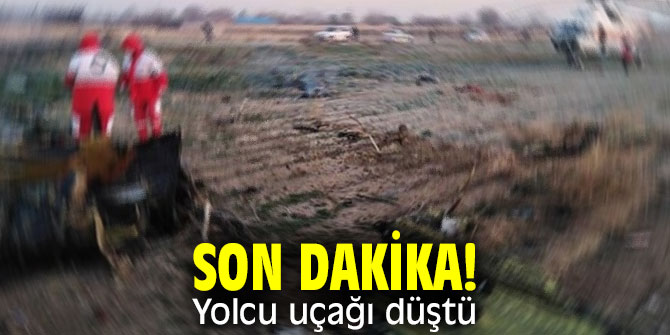 Son dakika: Yolcu uçağı düştü