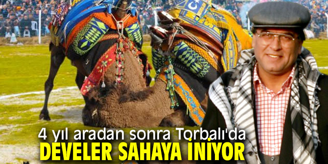 4 yıl aradan sonra Torbalı'da develer sahaya iniyor