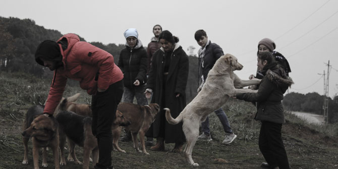 Üniversite öğrencileri ormana sürgün edilen köpekleri besledi