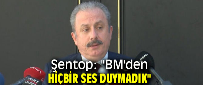Şentop: "BM'den hiçbir ses duymadık"