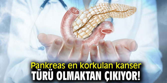 Pankreas artık korkutmuyor, tedaviler umut verici!