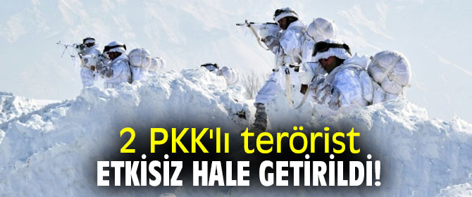 2 PKK'lı terörist etkisiz hale getirildi