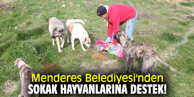 Menderes Belediyesi'nden sokak hayvanlarına  destek!