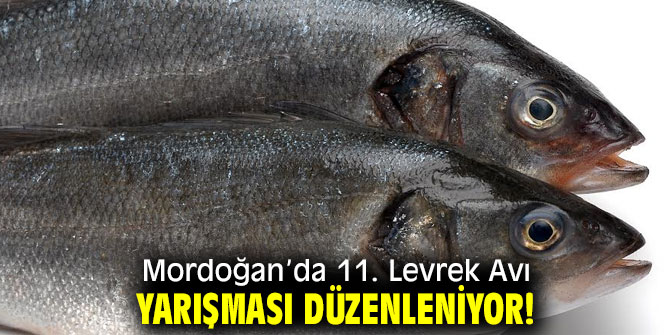 Mordoğan’da 11. Levrek Avı Yarışması düzenleniyor!