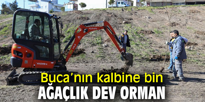 Buca Belediyesi'nden bin ağaçlık orman projesi!