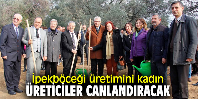  Ödemiş'te 650 adet dut fidanı toprakla buluşturuldu