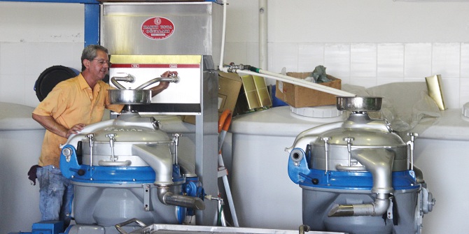 Foça’da erken hasat ilk zeytinyağı sıkımı gerçekleştirildi