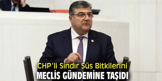 Süs Bitkileri Meclis Gündeminde!