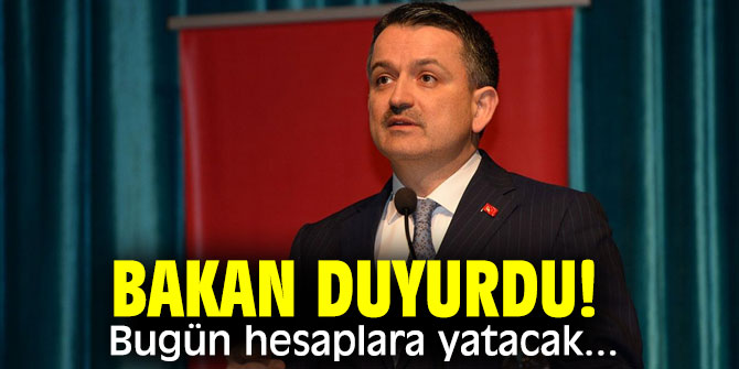 Bakan Pakdemirli açıkladı! Bugün hesaplara yatacak...