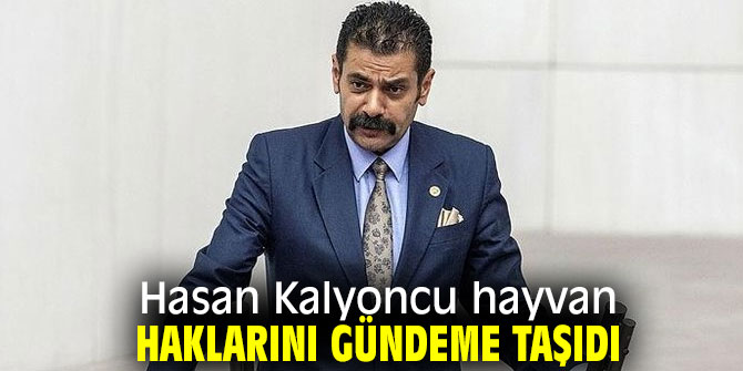 Hasan Kalyoncu hayvan haklarını gündeme taşıdı