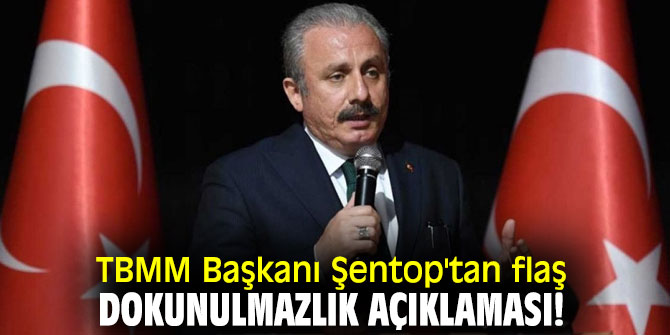 TBMM Başkanı Şentop'tan flaş dokunulmazlık açıklaması!