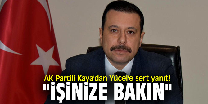 AK Partili Kaya'dan Deniz Yücel'e sert yanıt! "İşinize bakın"