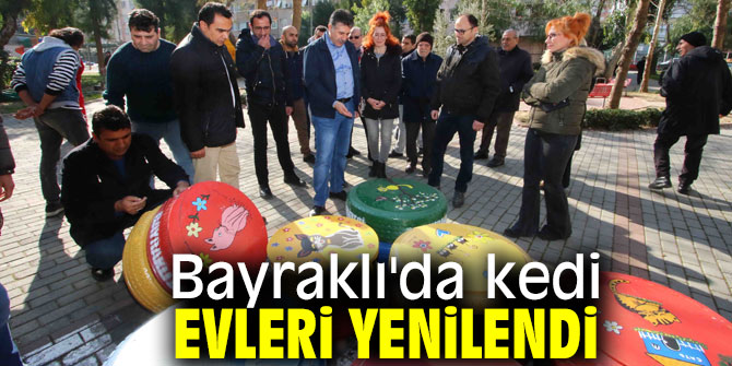 Bayraklı'da kediler evlerine kavuştu!