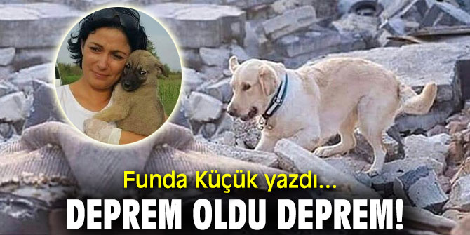 Deprem oldu deprem!