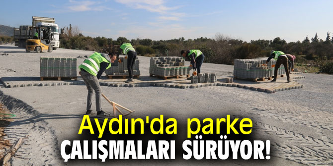 Aydın'da parke çalışmaları sürüyor!