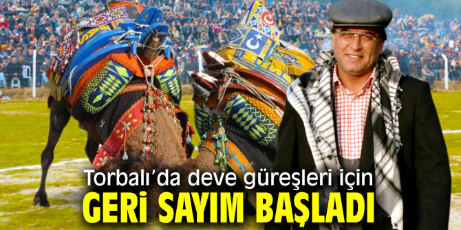 Torbalı deve güreşleri için gün sayıyor!