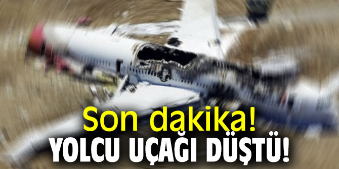 Son dakika! Yolcu uçağı düştü! 