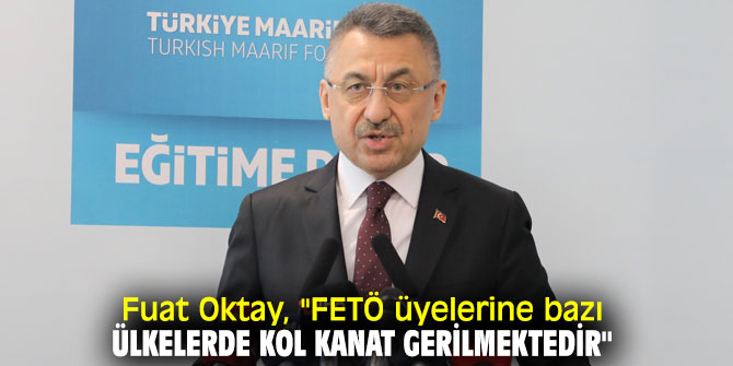 Fuat Oktay, "FETÖ üyelerine bazı ülkelerde kol kanat gerilmektedir"