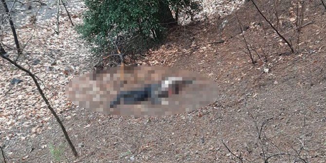 Çocuklarının gözü önünde kafası taşla ezildi